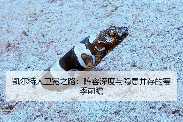 凯尔特人卫冕之路：阵容深度与隐患并存的赛季前瞻