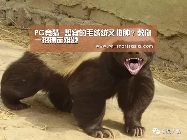 PG体育